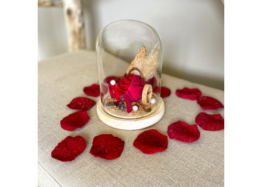 Rose éternelle sous verre- Décoration raffinée et Amour éternel - Fleurs et Passion - Celles-sur-Belle