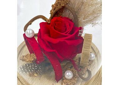 Rose éternelle sous verre- Décoration raffinée et Amour éternel - Fleurs et Passion - Celles-sur-Belle